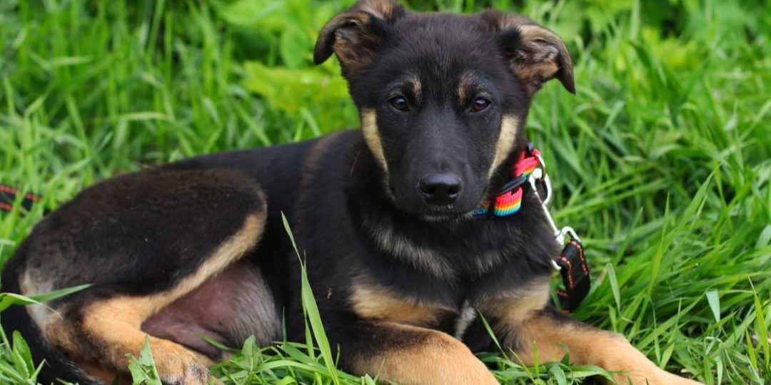 ❗ДОМА❗В вашей жизни все размеренно и предсказуемо, а каждый новый день похож на предыдущий? Тогда мы пишем к вам!