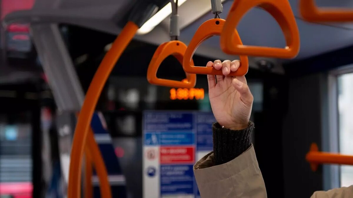     Источник: freepik.com