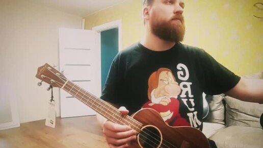 Черный плащ. Укулеле-кавер Darkwing Duck. Ukulele-cover.