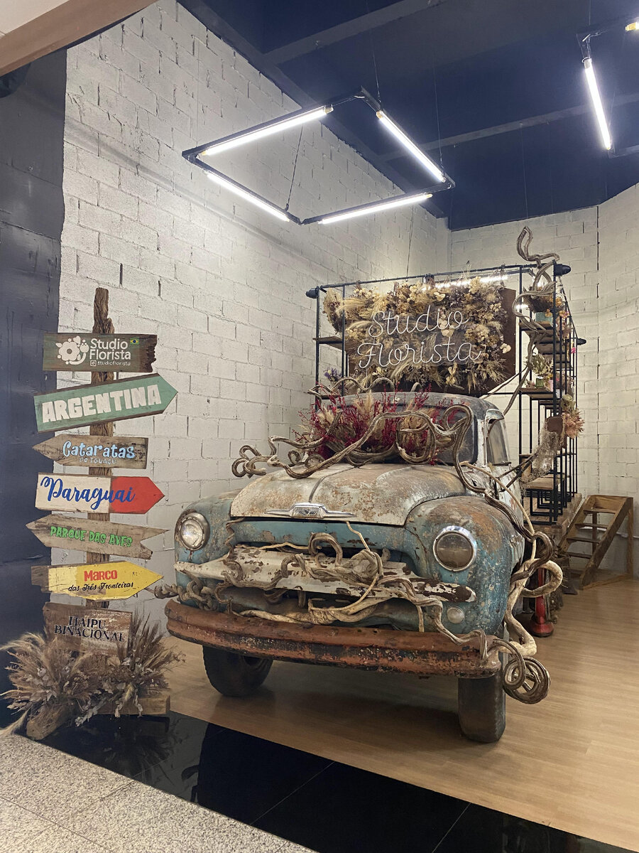 необычный автомобиль в Торговом центре Бразилии