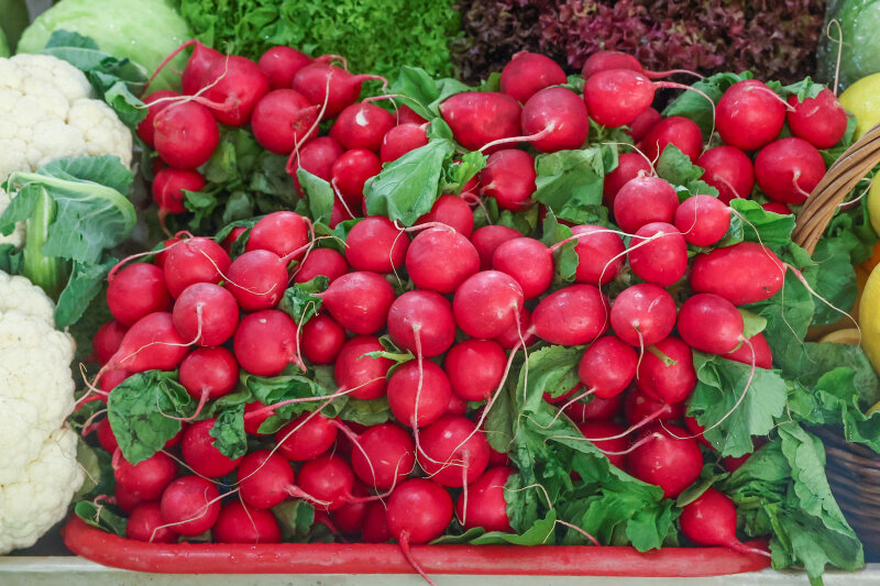    Фото: Petrov Sergey/news.ru/Globallookpress