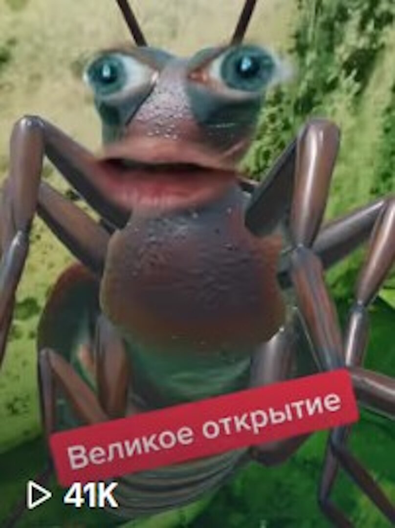 Барашкин и Великое открытие