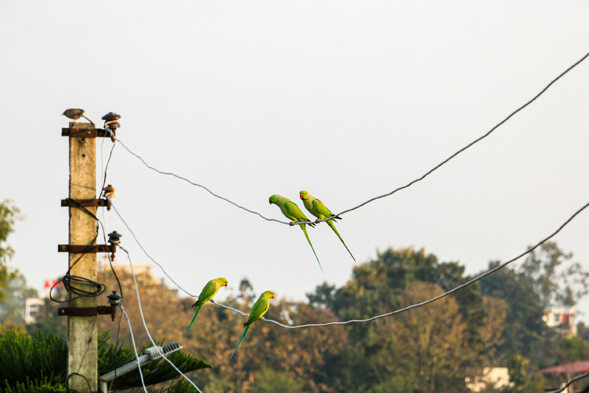 Картинка с бесплатного фотостока https://unsplash.com, автор Milin John