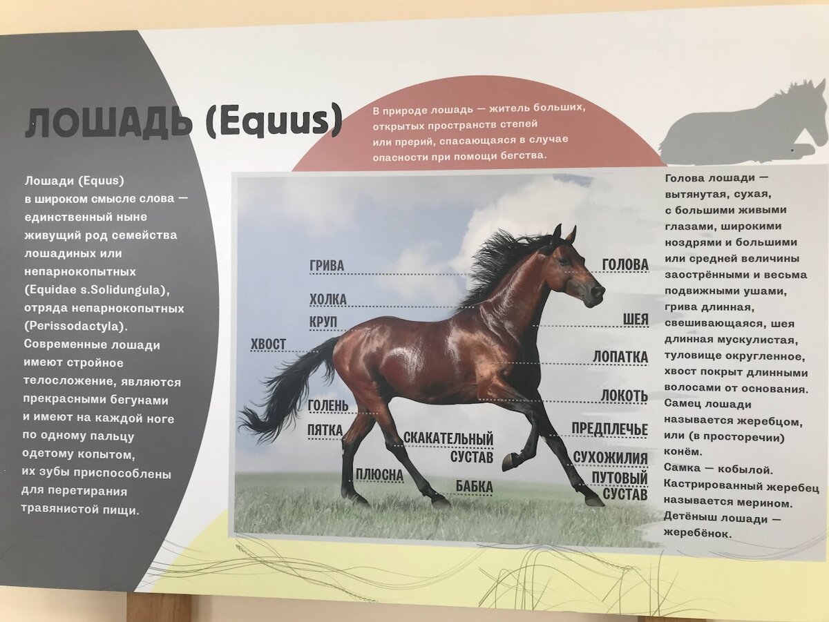 Смотрм галерею