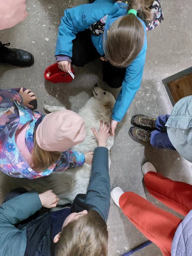 минимум на 5 минут экскурсия сузилась до общения с лучшим другом человека.