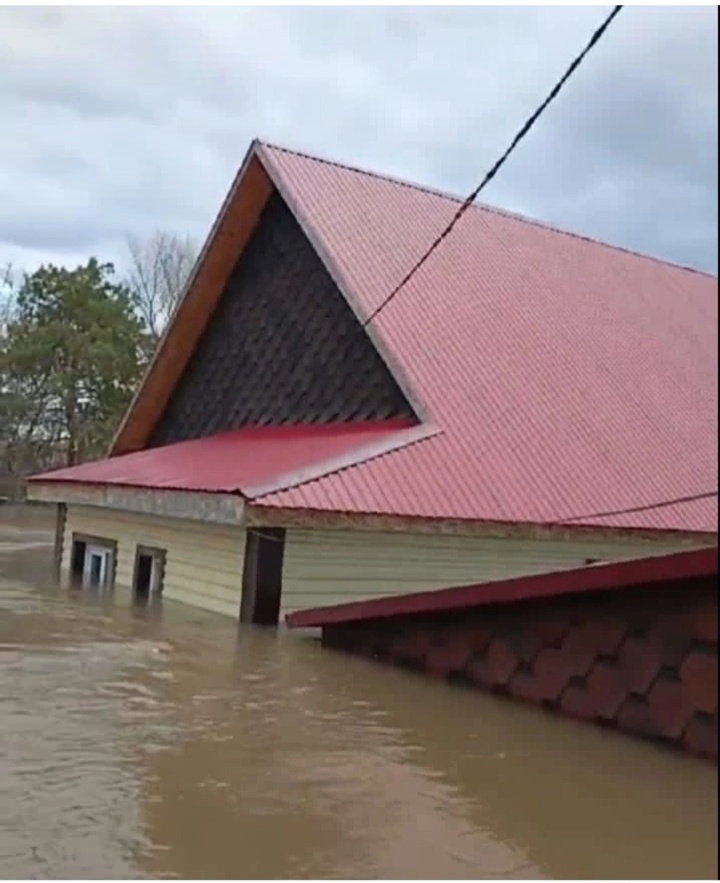 Фото из чата СНТ