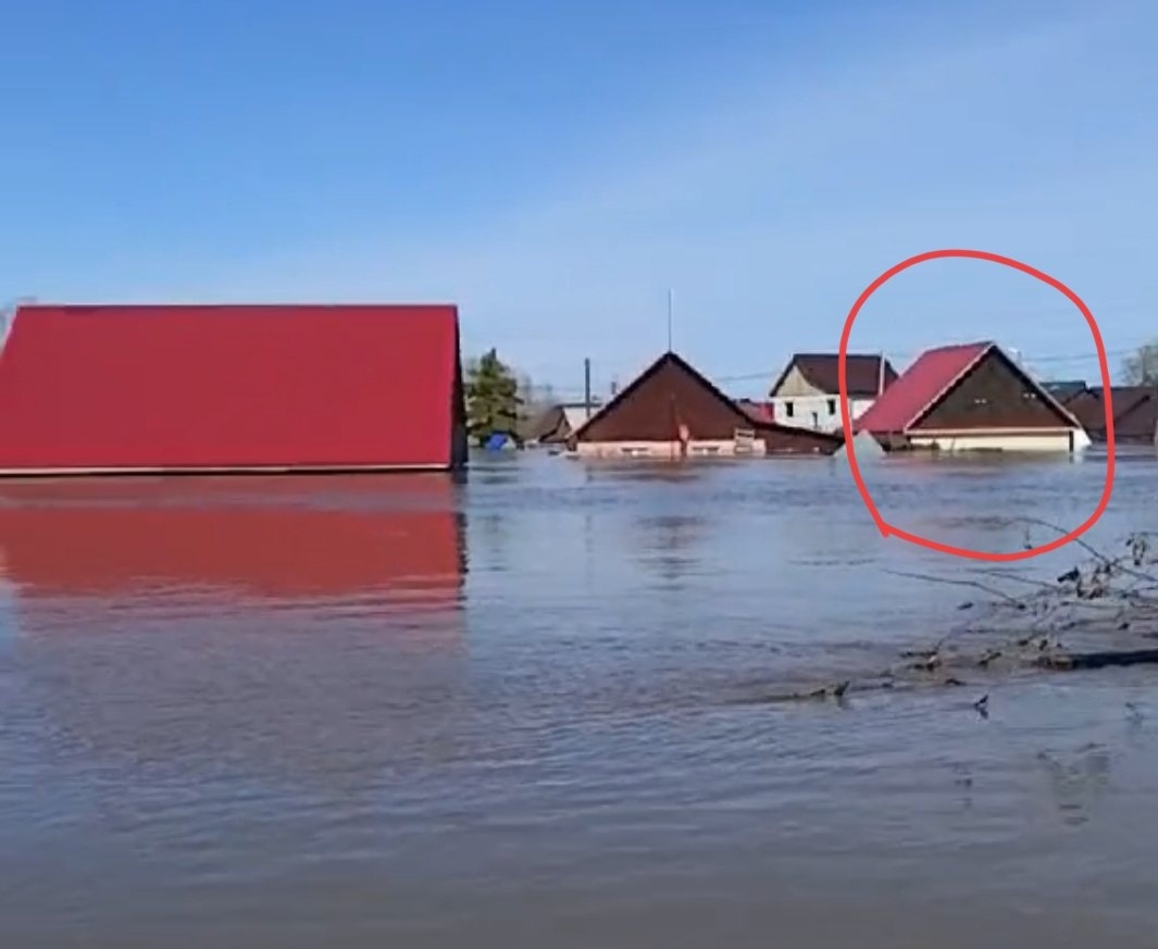 фото из чата СНТ