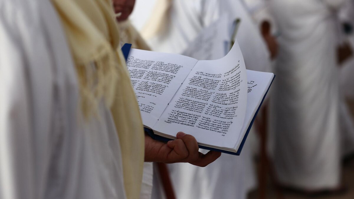 Фото: Shadi Jarar'Ah/globallookpress.com