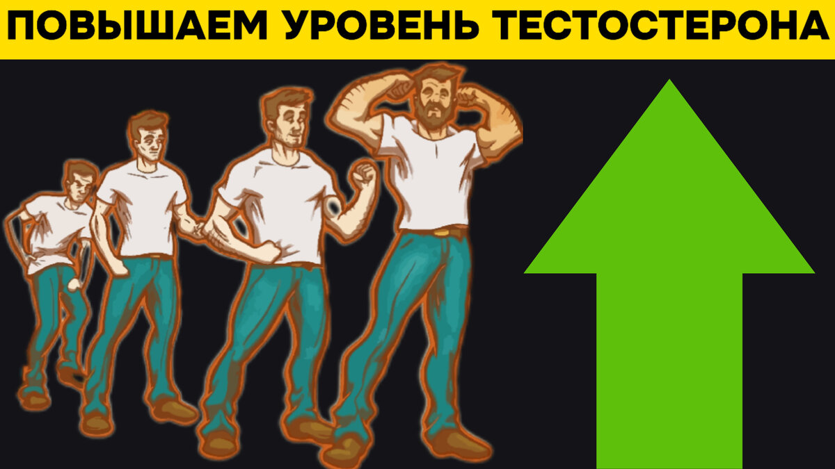 Повышение уровня тестостерона: роль правильного питания, физических  нагрузок и управления стрессом | Игорь Ботоговский | Дзен