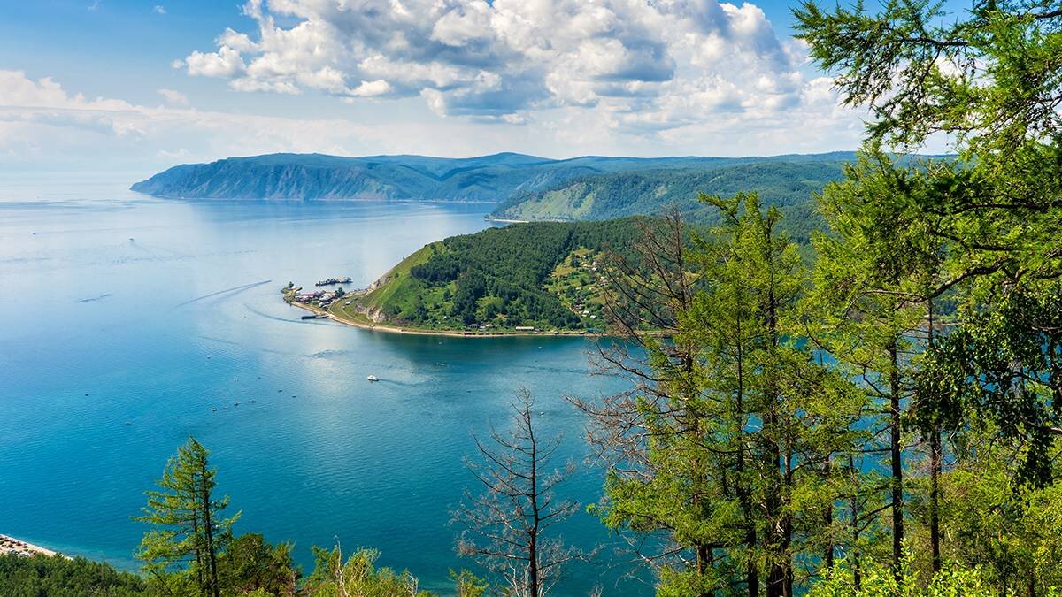    Фото: Shutterstock