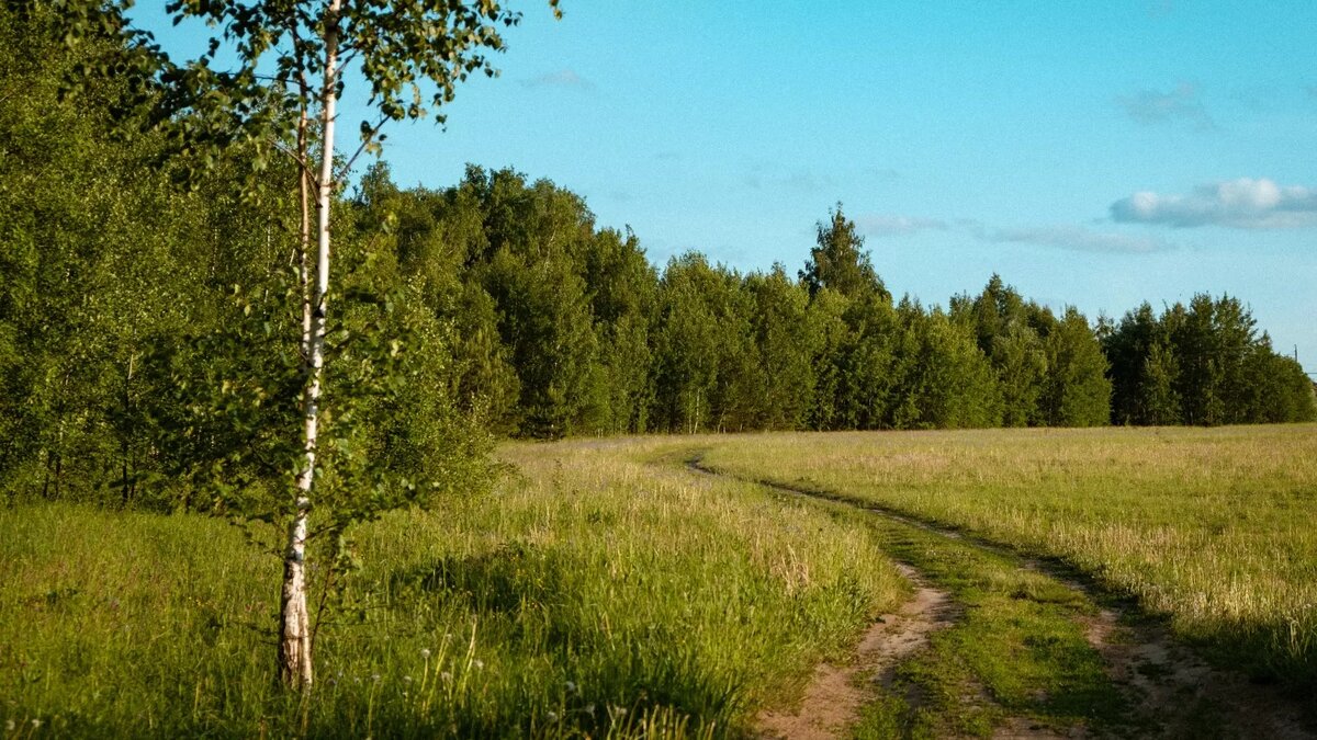     Источник: 1MI