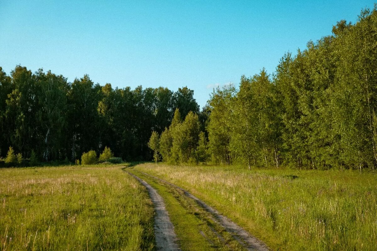     Источник: 1MI