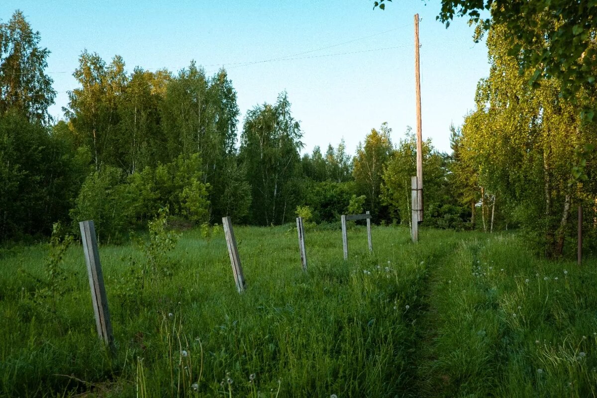     Источник: 1MI