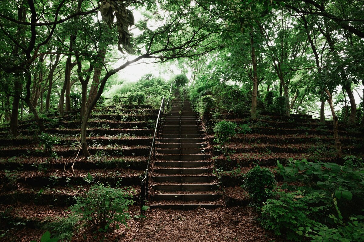 Фото с бесплатного фотостока https://unsplash.com, автор Ryunosuke Kikuno