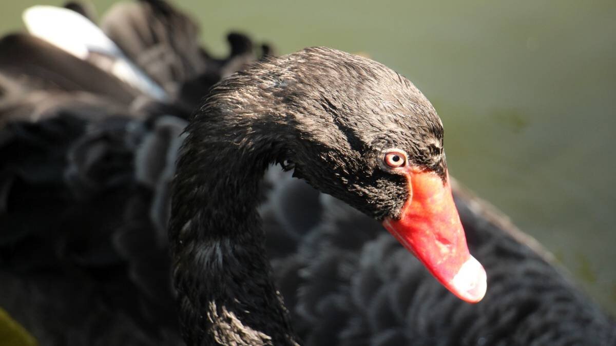    Фото: Shutterstock