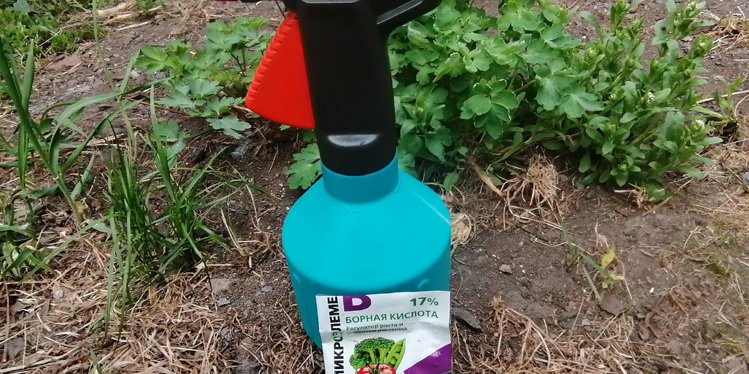 Что лучше для повышения урожая и завязи: борная кислота или "Бутон" и "Завязь"? О вреде бора