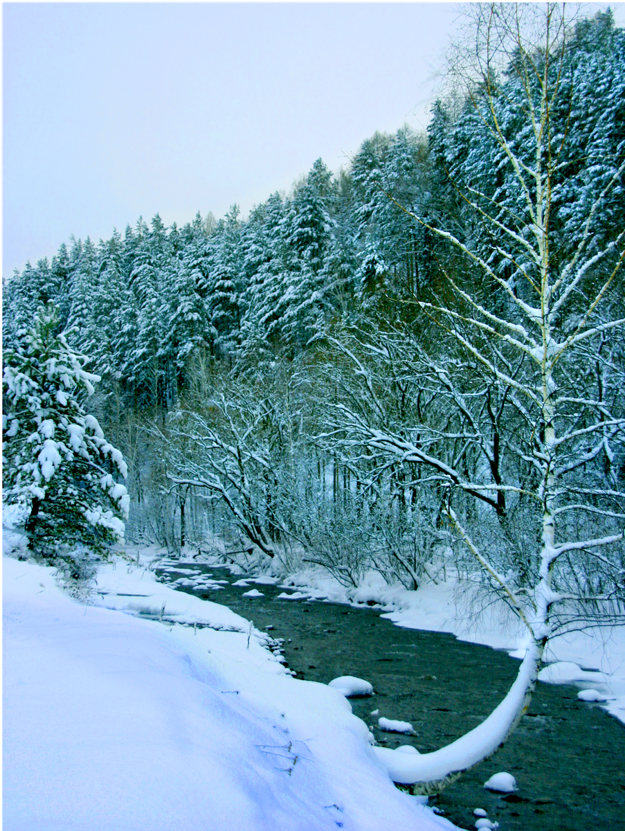 Фотография, стихотворение Василия Глуцкого