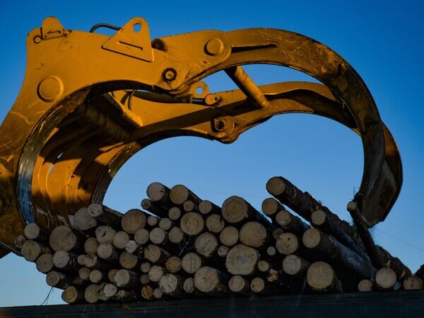    © РИА Новости Павел Лисицын