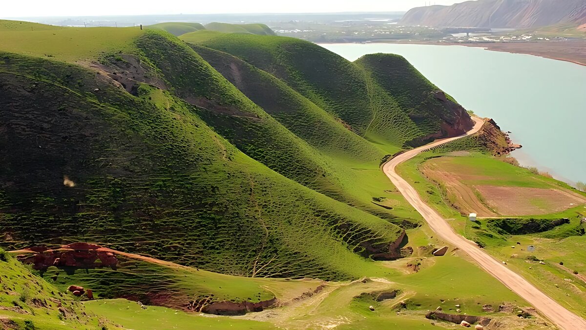     Автор: Franawaits/wikipedia.org/CC BY-SA 4.0