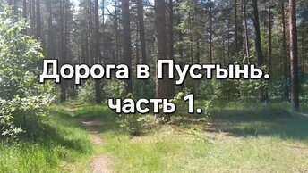 Иду через лес в монастырь на озере. Пешком в Введенскую Островную пустынь.