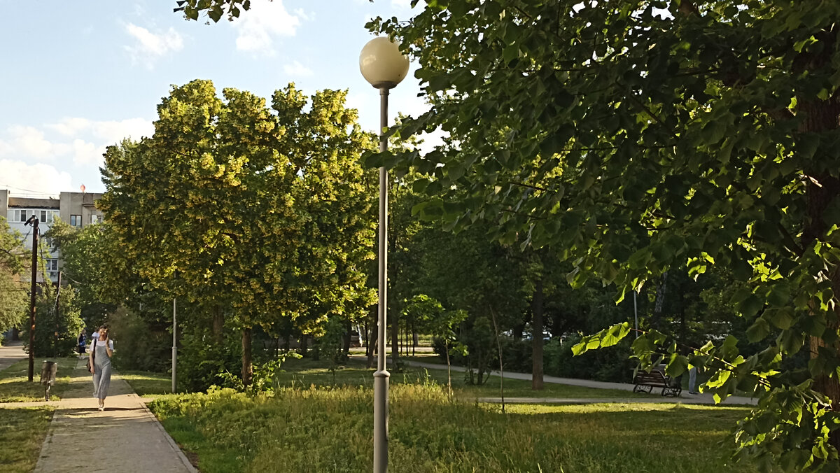 Утром нет ещё пыли..