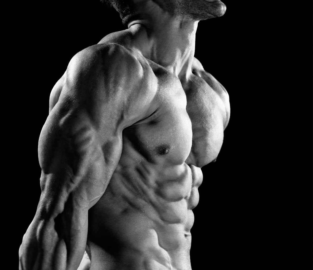 Источник фотографии: Яндекс картинки 
