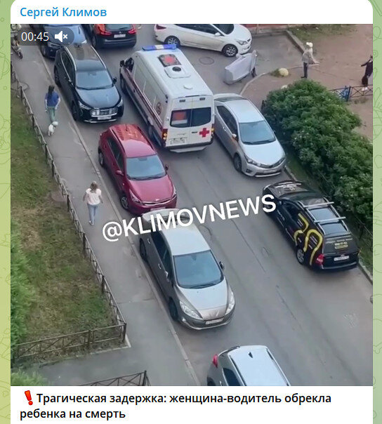 Фото: T.ME/KLIMOVNEWS