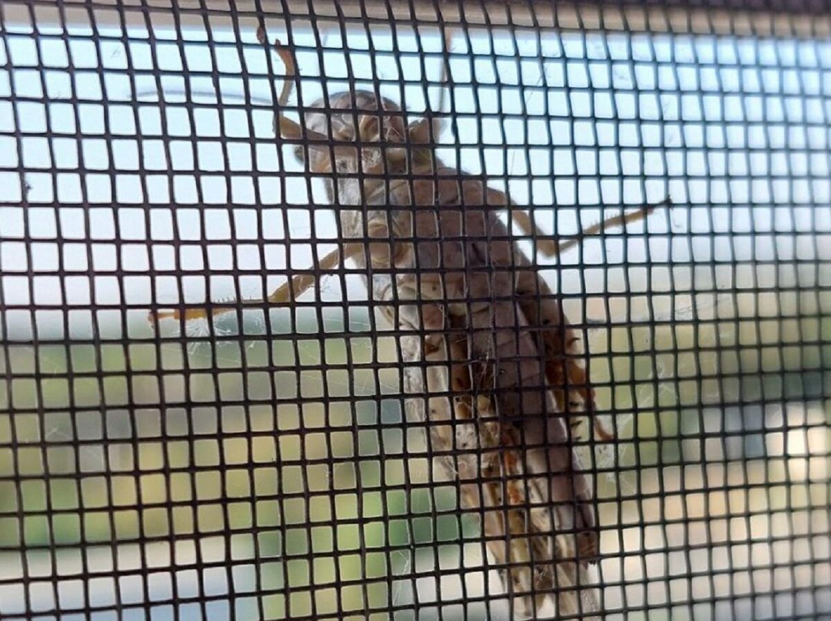 Фото читателя