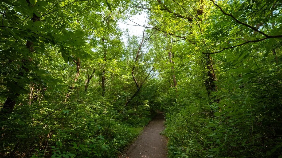     Источник: 1MI