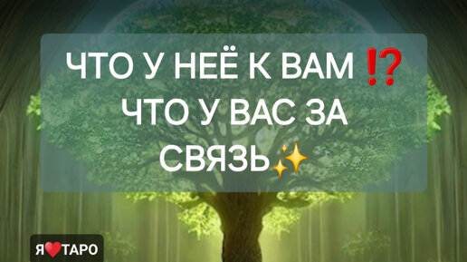 Что у неё к вам, что это за связь⁉️ расклад таро для мужчин