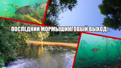 Последний мормышинговый выход...