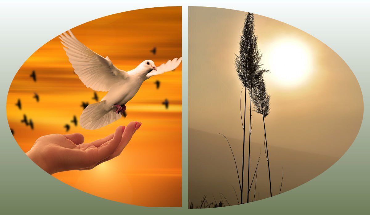 Фото: pixabay.com