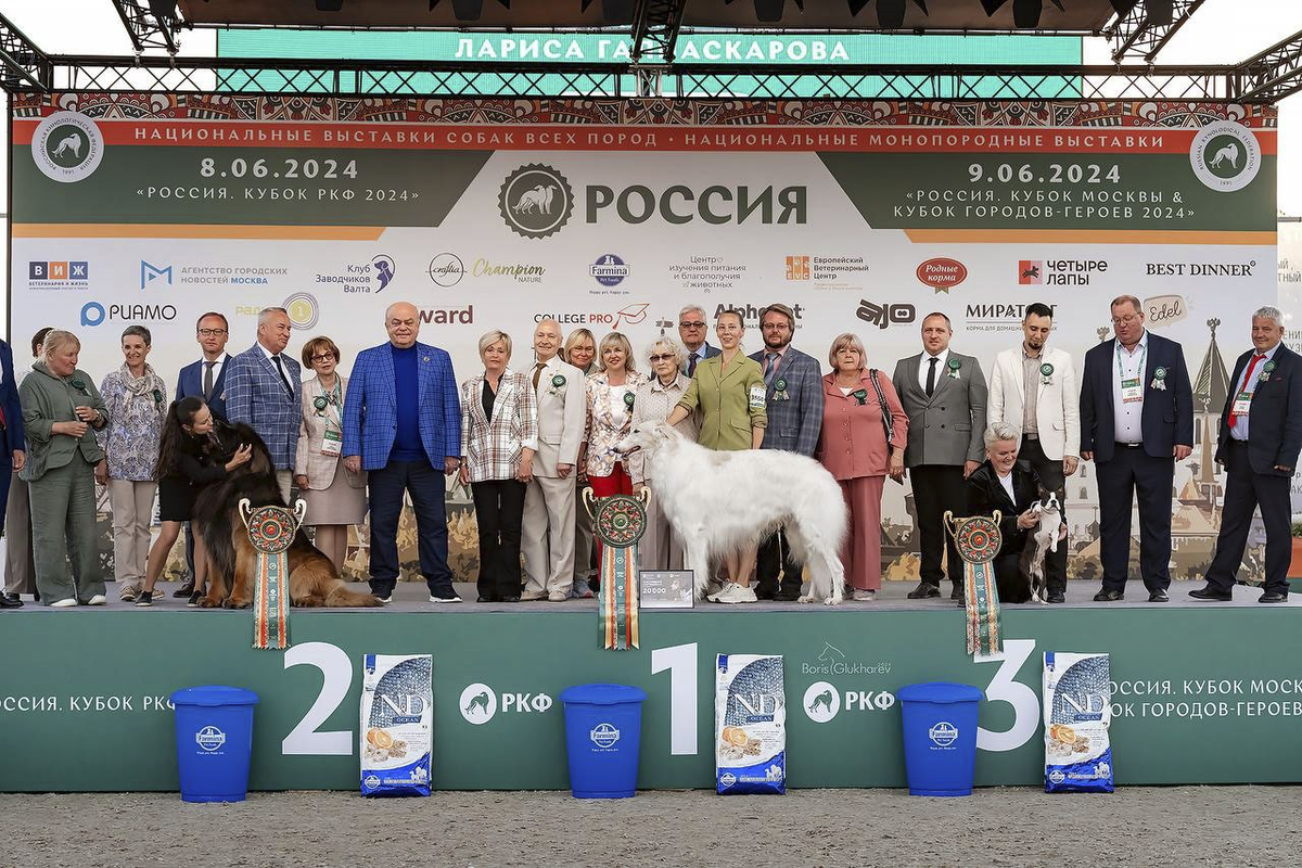 Фото предоставлено РКФ