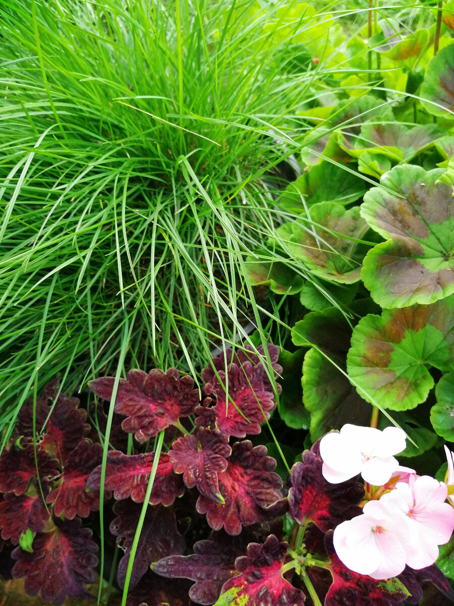 Контейнерный садик в 2023 году. Только и забот было, что он