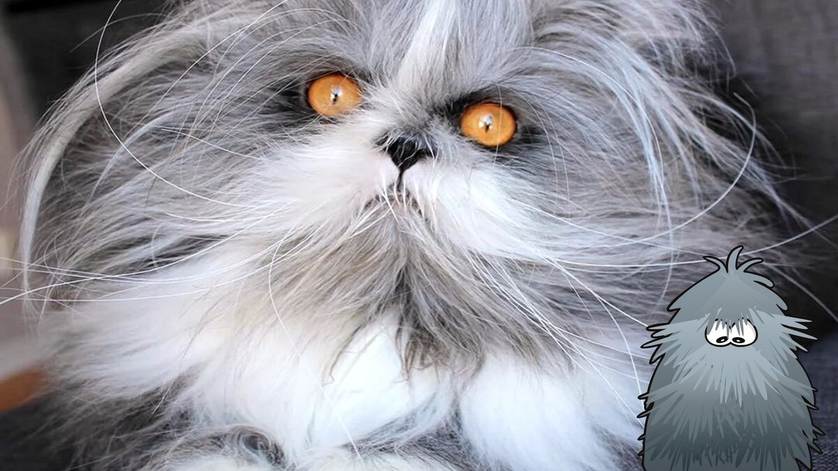 Этот парень покорил сердца многих