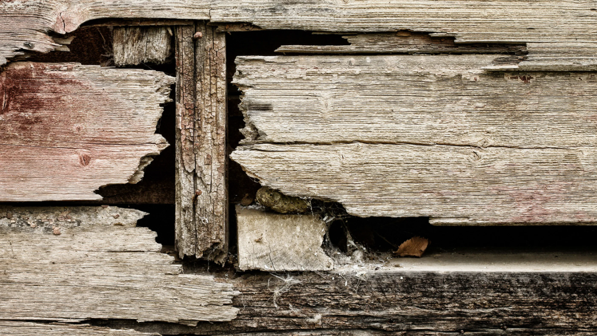 Деревянная стена