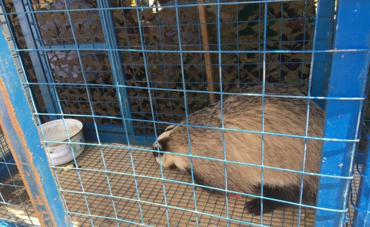    фото Курские известия