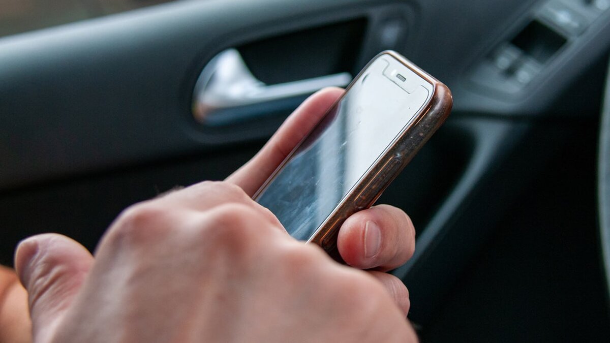 Фото: Global Look Press/Svetlana Vozmilova