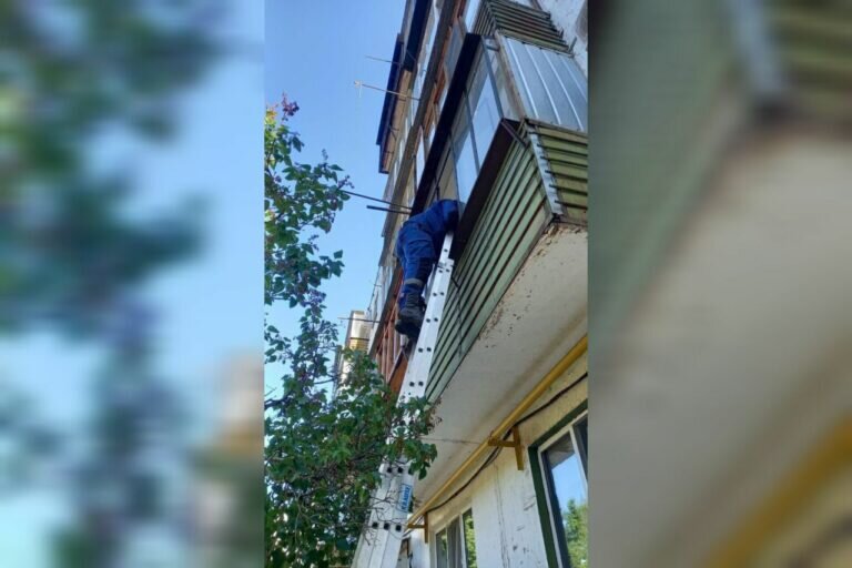    Не выходила на связь с родными. В Оренбурге спасатели помогли 91-летней женщине Кристина Просвиркина