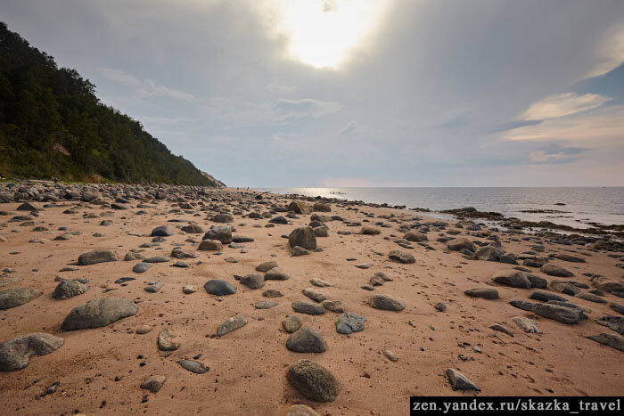 Берег Белого моря