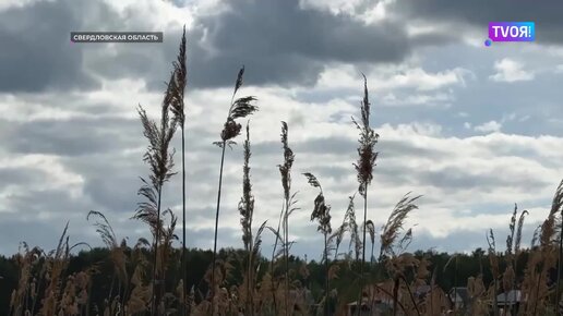 Отправляемся в поход с ребёнком