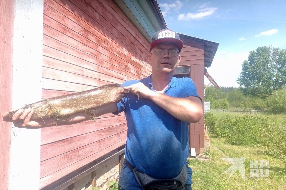    Уверенным рывком Александр Караваев выкинул щуку на берег.