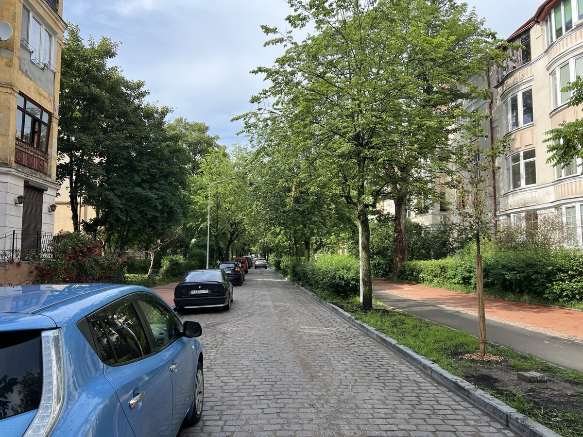 Район строился как зеленая гавань - огромное количество деревьев и зелени