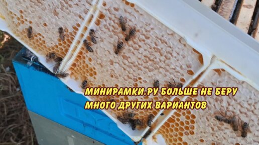 пчеловодство, минирамки.ру больше не беру