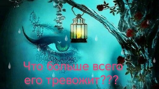 Чем Вы его бесите, чем привлекаете?!