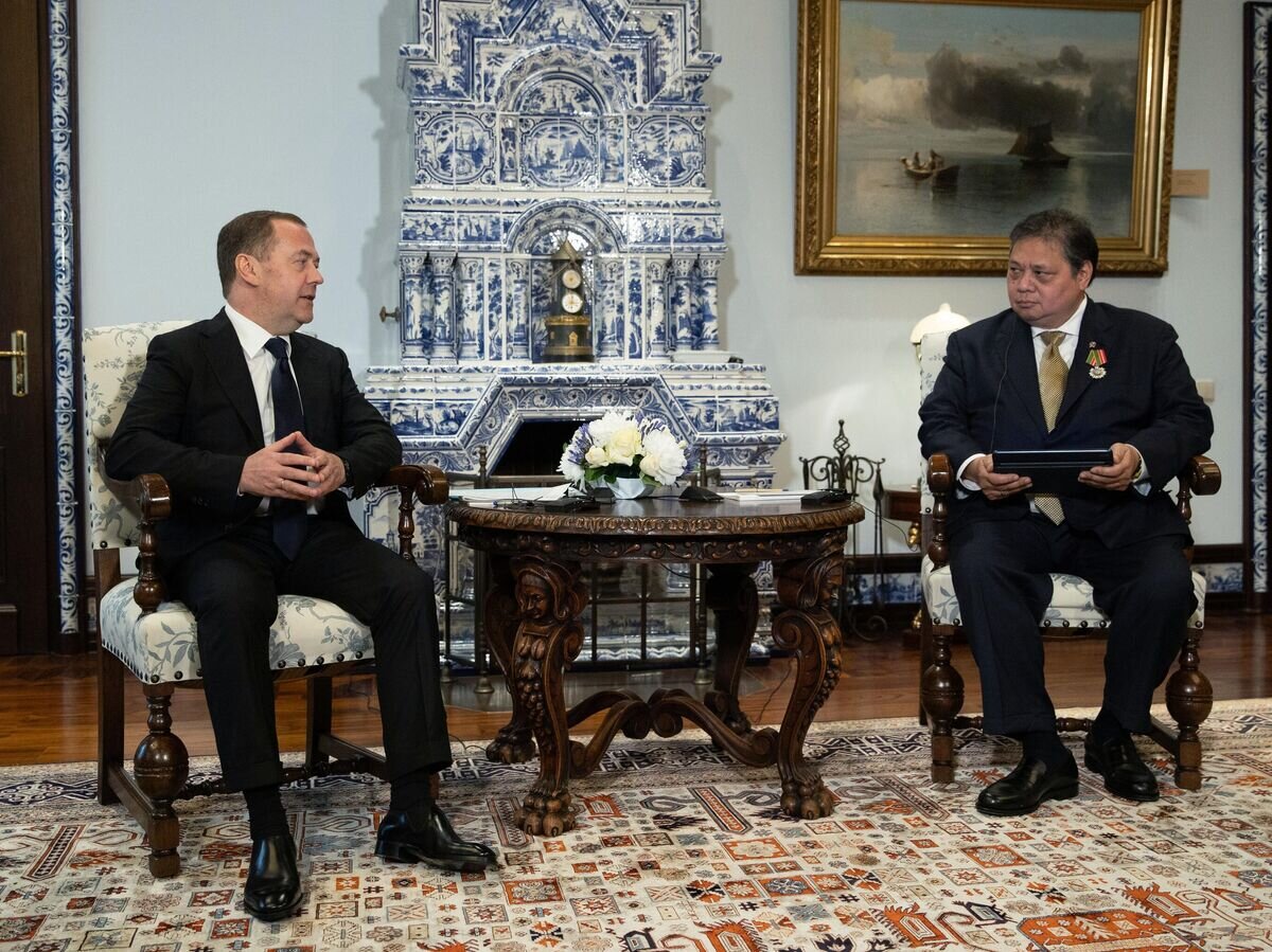    Заместитель председателя Совета безопасности РФ Дмитрий Медведев и председатель партии Голкар, министр-координатор по вопросам экономики Республики Индонезии Аирлангга Хартарто во время встречи© РИА Новости / Екатерина Штукина