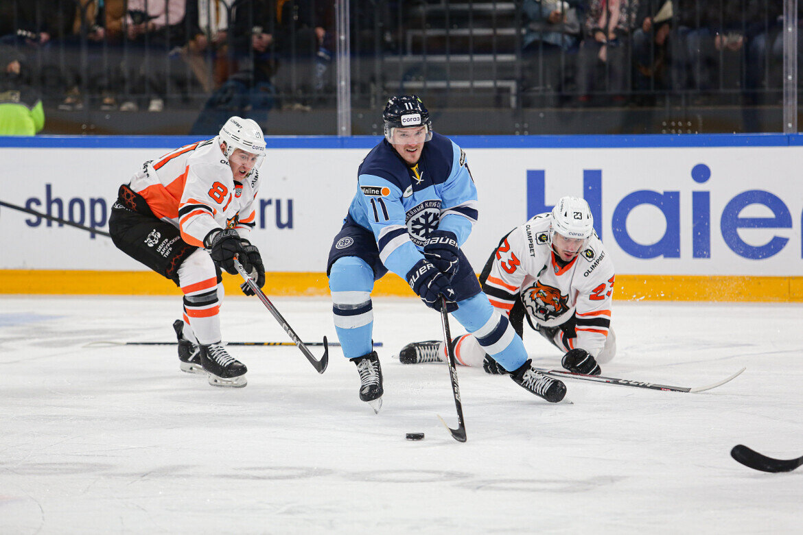 ​Фото: hcsibir.ru