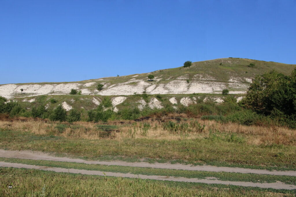    Меловые обнажения за слободой Рогалик Миллеровского р-на РО, 08.06.24 Анна Власова