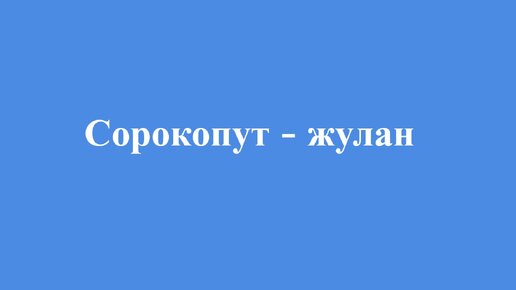 Сравним пение сорокопута и ястребиной славки #жулан #славка #пениептиц #голосаптиц #орнитология