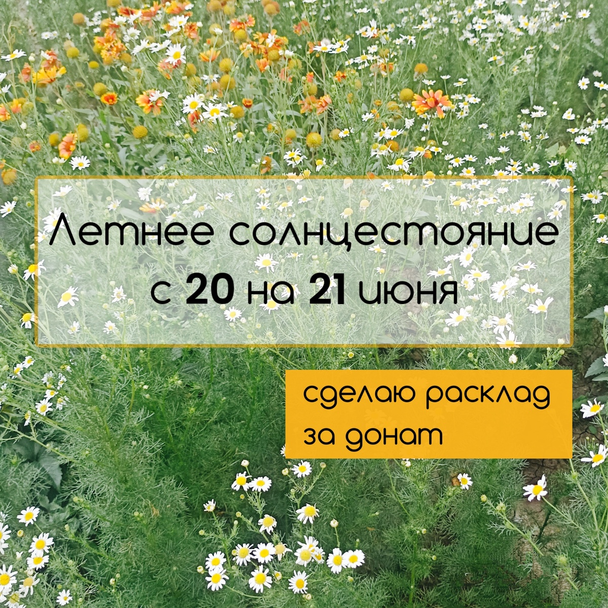 Летнее солнцестояние